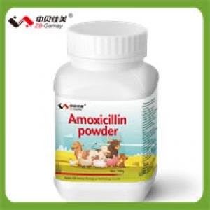 Amoxicillin powder